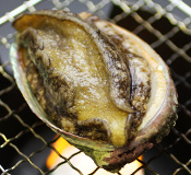 あわびの踊り焼き イメージ