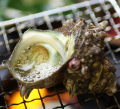 サザエのつぼ焼き イメージ